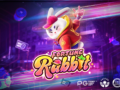 Fortune Rabbit