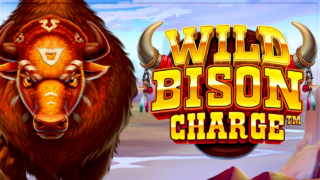 Wild Bison Charge